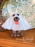 Casper the pup